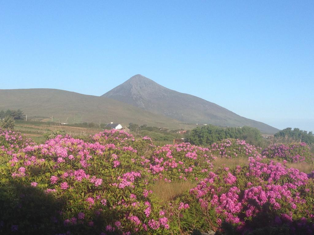 Bed and Breakfast Achill Water'S Edge Doogort Esterno foto